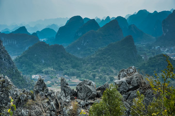 谁能给我一些蜘蛛、蜈蚣和蝎子的英文名