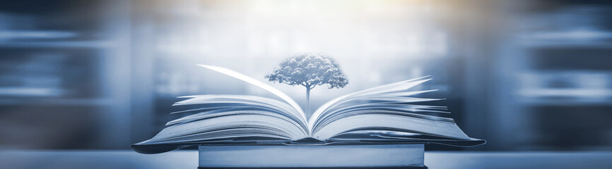 幼儿园中班的科学教案