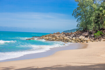 谁能给我一些蜘蛛、蜈蚣和蝎子的英文名