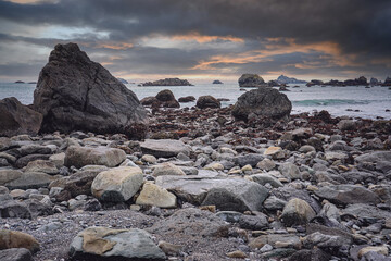 谁能给我一些蜘蛛、蜈蚣和蝎子的英文名