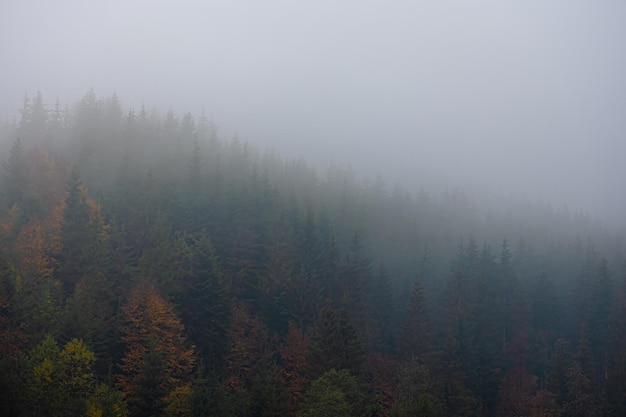幼儿园中班的科学教案