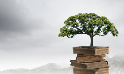 中国上下五千年的朝代有哪些?