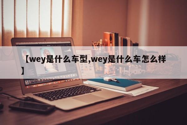 【wey是什么车型,wey是什么车怎么样】