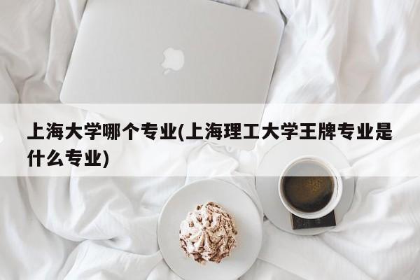 上海大学哪个专业(上海理工大学王牌专业是什么专业)