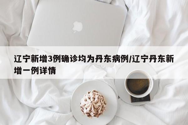 辽宁新增3例确诊均为丹东病例/辽宁丹东新增一例详情